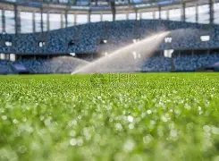 尤尔曼德坦,药企挑战顶,级豪门尚有,乐鱼体育,LeYu,Sports,乐鱼体育官网,乐鱼体育官网,乐鱼体育下载