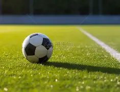 独家揭秘,拜仁,尤文图斯,乐鱼体育,LeYu,Sports,乐鱼体育官网,乐鱼体育官网,乐鱼体育下载