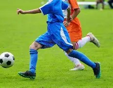 月尼日利亚,豪强集结,奥斯梅恩领,乐鱼体育,LeYu,Sports,乐鱼体育官网,乐鱼体育官网,乐鱼体育下载