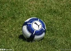 成都蓉城主,帅风云再起,谢峰或执掌,乐鱼体育,LeYu,Sports,乐鱼体育官网,乐鱼体育官网,乐鱼体育下载