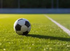 铜梁龙深情,致敬张外龙,心系故土,乐鱼体育,LeYu,Sports,乐鱼体育官网,乐鱼体育官网,乐鱼体育下载