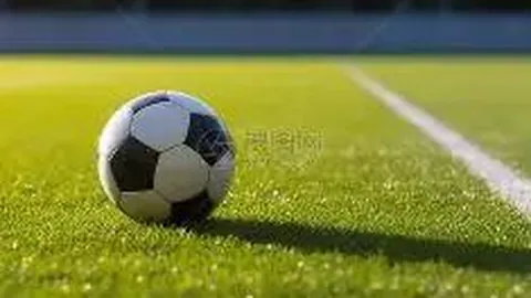 乐鱼体育 资讯 174357 9ga