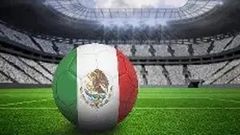 乐鱼体育 资讯 084206 kul