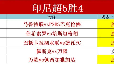 独家盛宴：犹他爵士巅峰对决达拉斯独行侠，精彩不容错过！